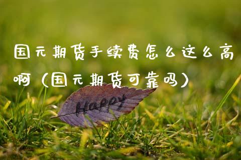 国元期货手续费怎么这么高啊（国元期货可靠吗）