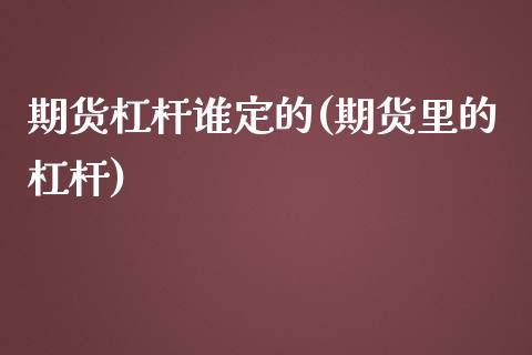 期货杠杆谁定的(期货里的杠杆)_https://www.boyangwujin.com_期货直播间_第1张