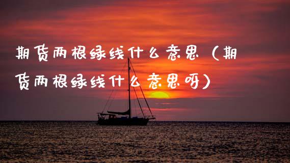 期货两根绿线什么意思（期货两根绿线什么意思呀）