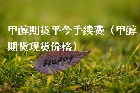 甲醇期货平今手续费（甲醇期货现货价格）_https://www.boyangwujin.com_期货直播间_第1张
