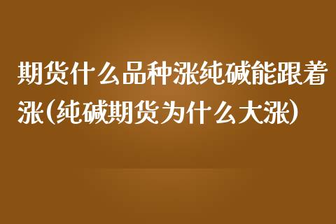 期货什么品种涨纯碱能跟着涨(纯碱期货为什么大涨)_https://www.boyangwujin.com_恒指期货_第1张