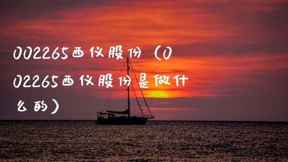 002265西仪股份（002265西仪股份是做什么的）