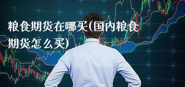粮食期货在哪买(国内粮食期货怎么买)_https://www.boyangwujin.com_恒生指数_第1张