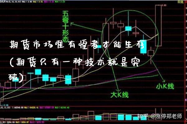期货市场唯有惶者才能生存(期货只有一种技术就是突破)_https://www.boyangwujin.com_恒指期货_第1张