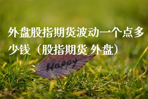 外盘股指期货波动一个点多少钱（股指期货 外盘）_https://www.boyangwujin.com_期货直播间_第1张