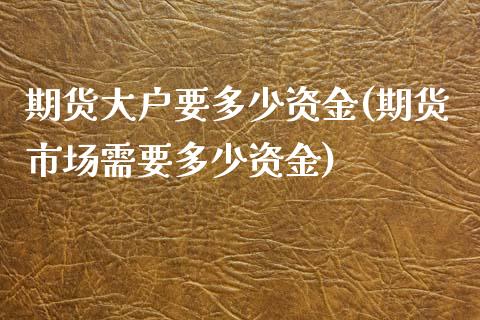 期货大户要多少资金(期货市场需要多少资金)