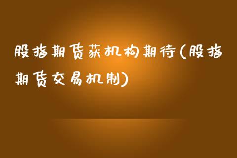 股指期货获机构期待(股指期货交易机制)_https://www.boyangwujin.com_恒生指数_第1张