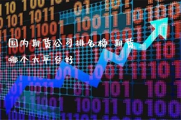 国内期货公司排名榜 期货哪个大平台好_https://www.boyangwujin.com_期货直播间_第1张