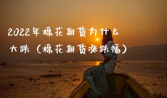 2022年棉花期货为什么大跌（棉花期货涨跌幅）_https://www.boyangwujin.com_白银期货_第1张