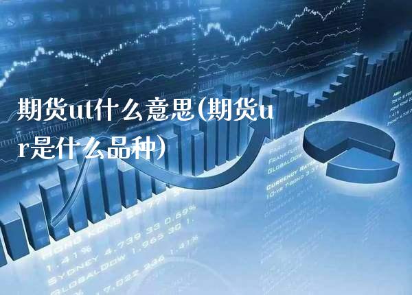 期货ut什么意思(期货ur是什么品种)
