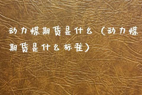动力煤期货是什么（动力煤期货是什么标准）_https://www.boyangwujin.com_期货直播间_第1张