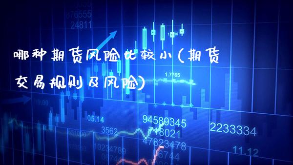 哪种期货风险比较小(期货交易规则及风险)_https://www.boyangwujin.com_期货直播间_第1张