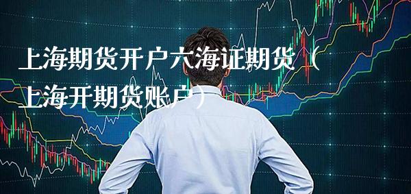 上海期货开户六海证期货（上海开期货账户）_https://www.boyangwujin.com_期货直播间_第1张