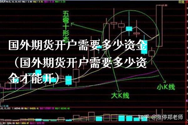 国外期货开户需要多少资金（国外期货开户需要多少资金才能开）_https://www.boyangwujin.com_恒生指数_第1张