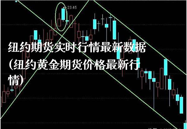 纽约期货实时行情最新数据(纽约黄金期货价格最新行情)_https://www.boyangwujin.com_恒指期货_第1张