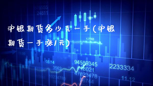 沪银期货多少克一手(沪银期货一手涨1元)