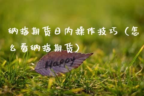 纳指期货日内操作技巧（怎么看纳指期货）_https://www.boyangwujin.com_道指期货_第1张