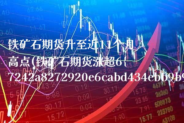 铁矿石期货升至近11个月高点(铁矿石期货涨超6%)_https://www.boyangwujin.com_期货直播间_第1张
