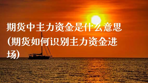 期货中主力资金是什么意思(期货如何识别主力资金进场)