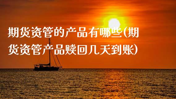 期货资管的产品有哪些(期货资管产品赎回几天到账)