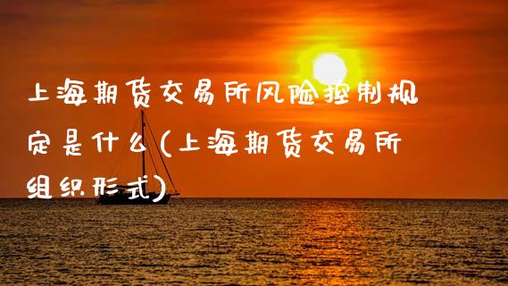 上海期货交易所风险控制规定是什么(上海期货交易所组织形式)_https://www.boyangwujin.com_期货直播间_第1张