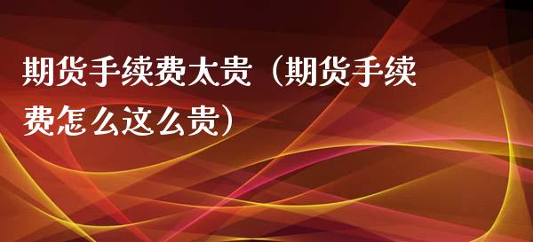 期货手续费太贵（期货手续费怎么这么贵）