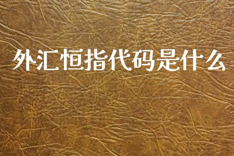 外汇恒指代码是什么
