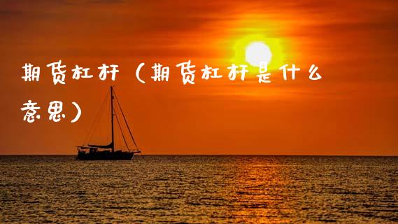 期货杠杆（期货杠杆是什么意思）_https://www.boyangwujin.com_期货直播间_第1张