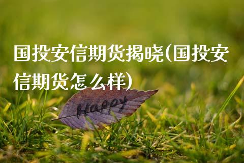 国投安信期货揭晓(国投安信期货怎么样)_https://www.boyangwujin.com_期货科普_第1张