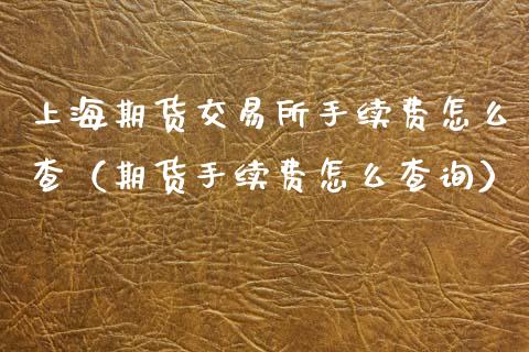上海期货交易所手续费怎么查（期货手续费怎么查询）