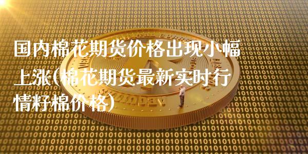 国内棉花期货价格出现小幅上涨(棉花期货最新实时行情籽棉价格)_https://www.boyangwujin.com_白银期货_第1张