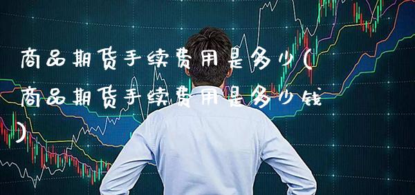 商品期货手续费用是多少(商品期货手续费用是多少钱)