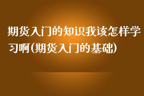 期货入门的知识我该怎样学习啊(期货入门的基础)_https://www.boyangwujin.com_期货直播间_第1张
