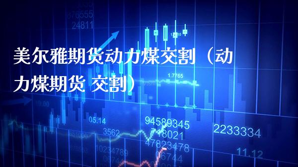 美尔雅期货动力煤交割（动力煤期货 交割）