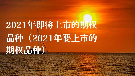 2021年即将上市的期权品种（2021年要上市的期权品种）_https://www.boyangwujin.com_期货直播间_第1张