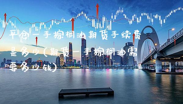 平仓一手棕榈油期货手续费是多少(期货一手棕榈油需要多少钱)