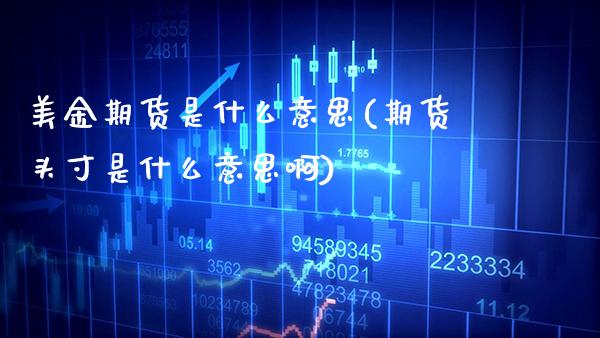 美金期货是什么意思(期货头寸是什么意思啊)