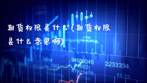 期货权限是什么(期货权限是什么意思啊)