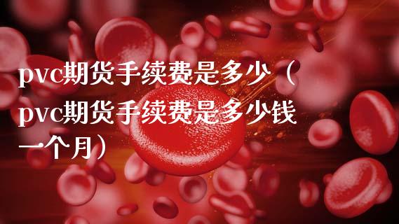pvc期货手续费是多少（pvc期货手续费是多少钱一个月）_https://www.boyangwujin.com_黄金期货_第1张