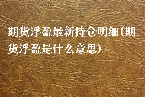 期货浮盈最新持仓明细(期货浮盈是什么意思)_https://www.boyangwujin.com_原油期货_第1张