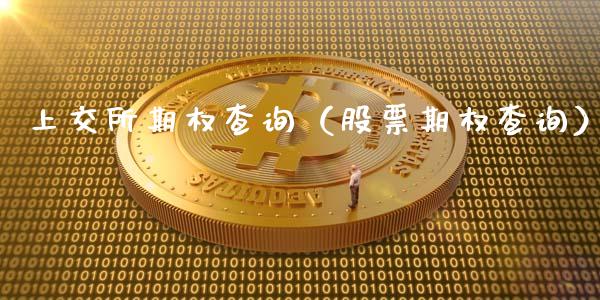 上交所期权查询（股票期权查询）
