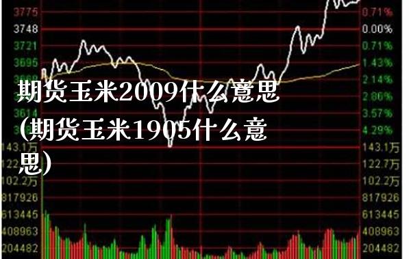 期货玉米2009什么意思(期货玉米1905什么意思)