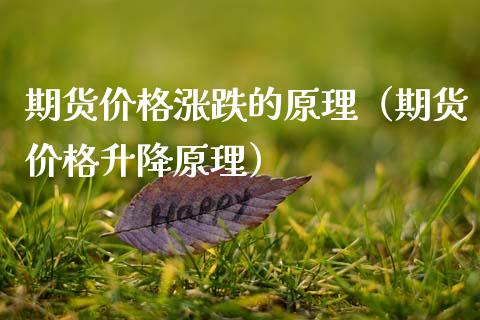 期货价格涨跌的原理（期货价格升降原理）
