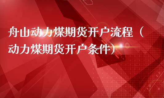 舟山动力煤期货开户流程（动力煤期货开户条件）_https://www.boyangwujin.com_期货直播间_第1张