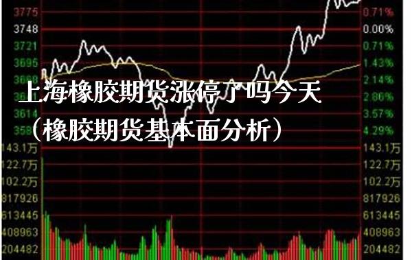 上海橡胶期货涨停了吗今天（橡胶期货基本面分析）