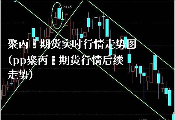 聚丙烯期货实时行情走势图(pp聚丙烯期货行情后续走势)_https://www.boyangwujin.com_黄金期货_第1张