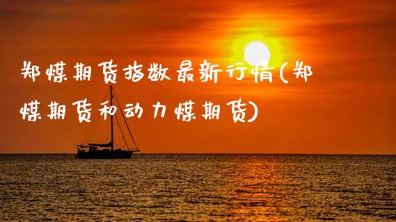 郑煤期货指数最新行情(郑煤期货和动力煤期货)