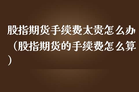 股指期货手续费太贵怎么办（股指期货的手续费怎么算）