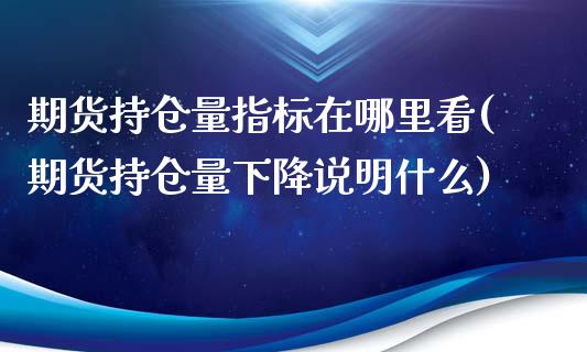 期货持仓量指标在哪里看(期货持仓量下降说明什么)_https://www.boyangwujin.com_纳指期货_第1张