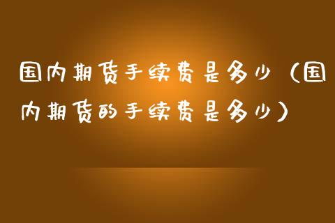 国内期货手续费是多少（国内期货的手续费是多少）